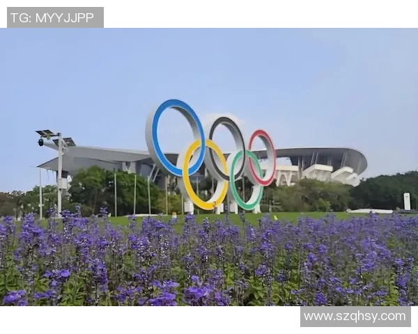 广州排球队耐力争议引发热议球迷与专家各执己见探讨背后原因 广州排球队耐力争议引发热议球迷与专家各执己见探讨背后原因