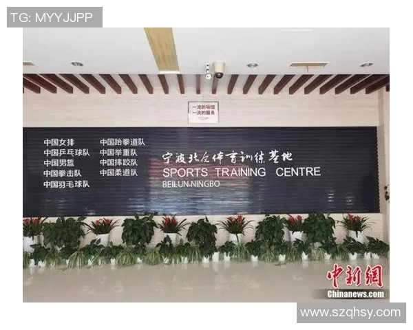 广州排球队全国锦标赛征程回顾与突破成就的深度分析