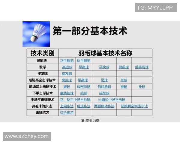 成都羽毛球队的战术控制与训练深度解析