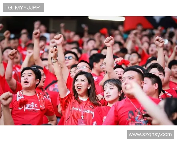 成都排球队以74分领跑总决赛积分榜展现强劲实力与团队合作精神