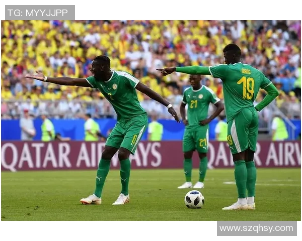 巴西与美国足球精彩对决回放全景分析与精彩瞬间回顾