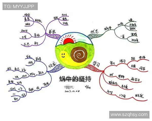 张帆的奋斗历程与成长故事：从平凡到卓越的心路历程与启示