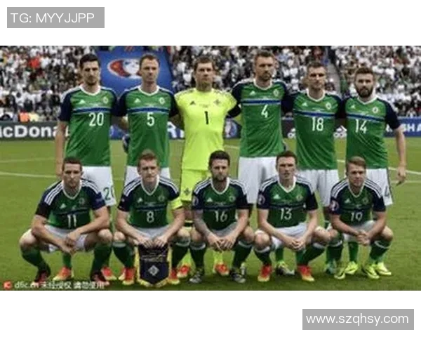 比利时与爱尔兰对决分析球队状态战术布局及球员表现全解析