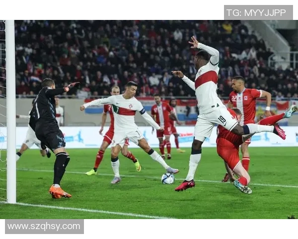 葡萄牙与卢森堡足球赛阵容分析及球员表现对比