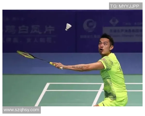 2014年林丹与王睁茗巅峰对决回顾：羽坛传奇的精彩瞬间与战术较量