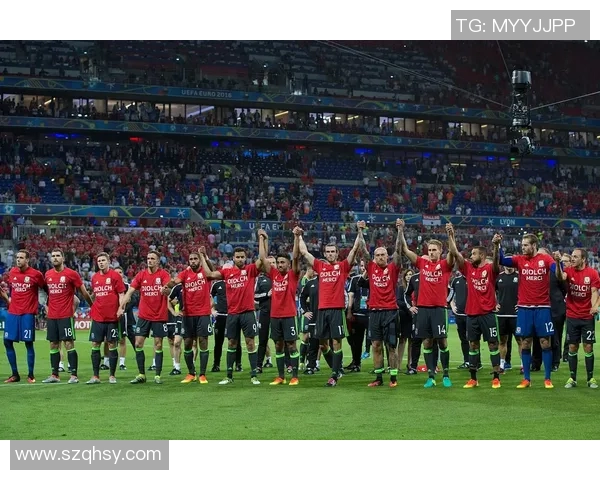 阿雅克肖主场迎战欧塞尔争夺法甲宝贵积分的激烈对决