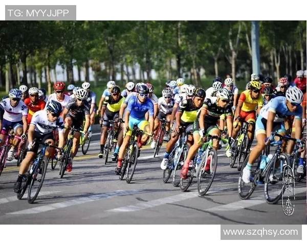 辽宁对阵北京精彩直播视频全程回放与赛后分析尽在这里